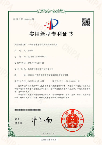China Guangdong Taijin Semiconductor Technology Co., Ltd Certificações